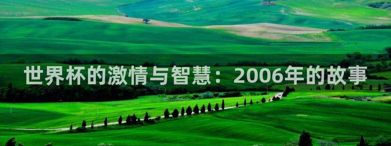 世界杯亚洲区预选赛赛程表：世界杯的激情与智慧：2006年的故事