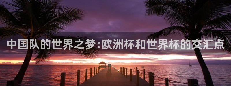 世界杯决赛预测：中国队的世界之梦:欧洲杯和世界杯的交汇点