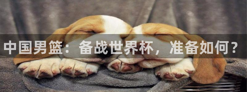 欧洲区世界杯预选赛：中国男篮：备战世界杯，准备如何？