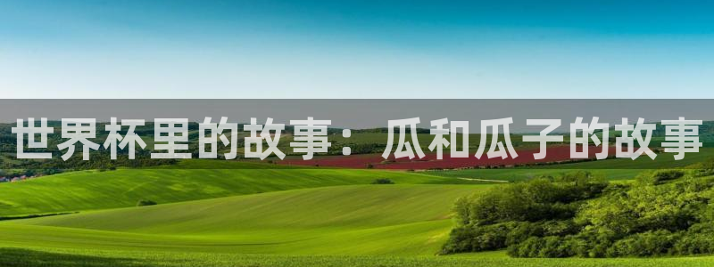 2026世界杯赛程：世界杯里的故事：瓜和瓜子的故事
