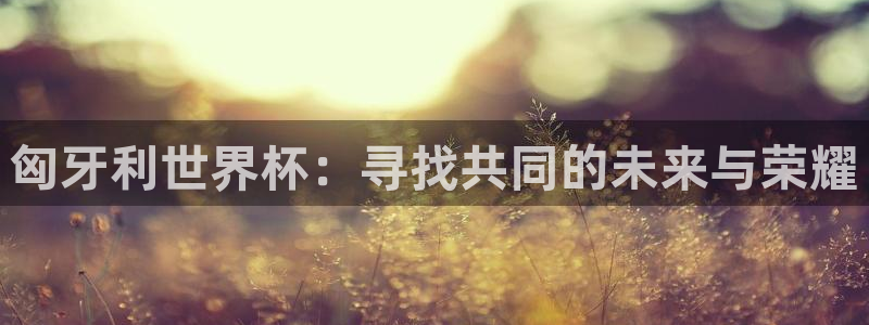 世预赛赛程表：匈牙利世界杯：寻找共同的未来与荣耀