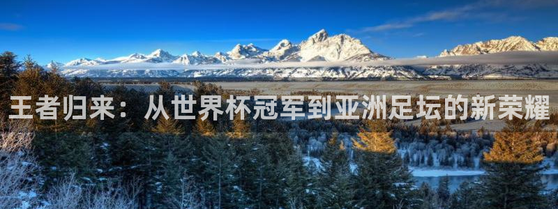 世界杯小组赛赛程：王者归来：从世界杯冠军到亚洲足坛的新荣耀