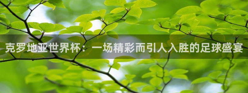 世界杯 赛程：克罗地亚世界杯：一场精彩而引人入胜的足球盛宴
