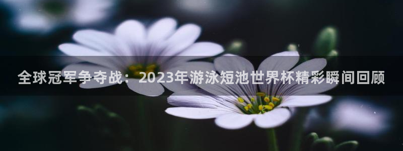 世界杯足球赛2026：全球冠军争夺战：2023年游泳短池世界杯精彩瞬间回顾